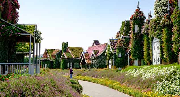 dubai-miracle-garden
